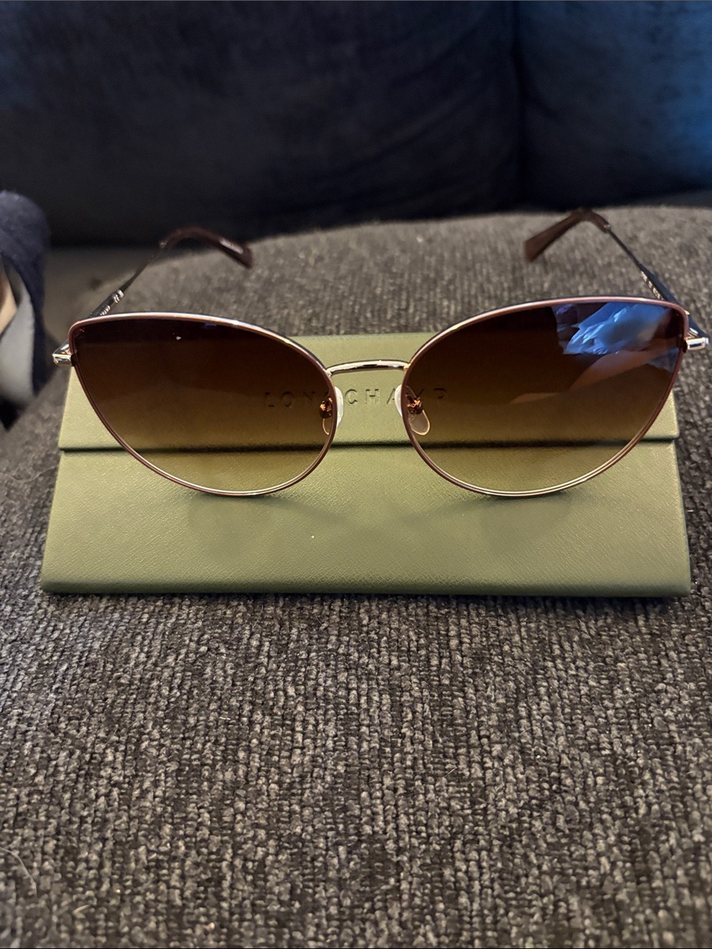 Longchamp Brown Gradient Cat-Eye Sunglasses